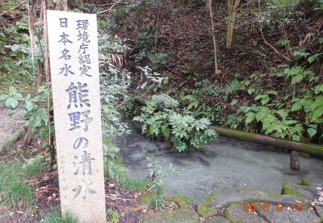 日本の名水１００選です。