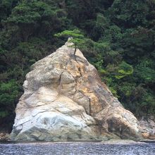 白い岩にド根性松かな