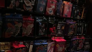 見てるだけでも楽しい