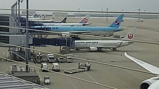 のんびりできます