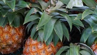 駐車場脇の売店が侮れない古宇利島。