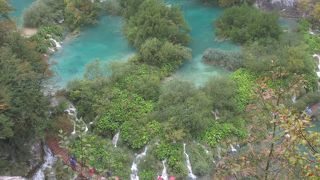 土砂降りの雨の日でしたが・・・