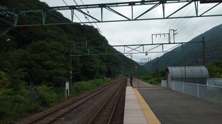 普通列車でも存分に楽しめます