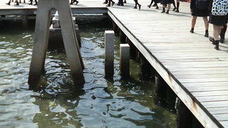 満潮時は水の上を歩いてるような神秘的な気分に