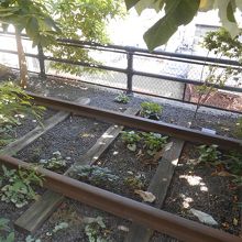 線路がのこってる！