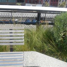 ベンチもたくさんあります