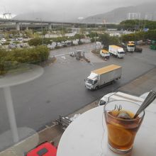 窓辺でのんびり