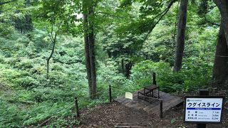 越後湯沢でジップライン体験