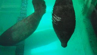 綺麗になった？