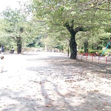 公園