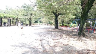 大きな池がある公園