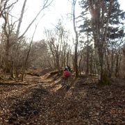 三国山(山中湖村)～パノラマ台は冬枯れとカヤトがお奨め