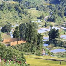 棚田のように見えるのは鯉池です