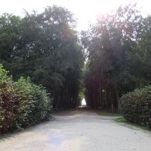 お城から別邸までの道のり