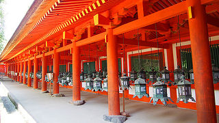 世界遺産！釣燈籠が美しい朱色の神社！！