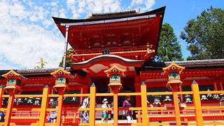 参拝料を払っても見たい！美しい本殿です！