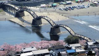 桜に映える錦帯橋