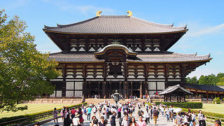 奈良観光のハイライト！大仏殿！！