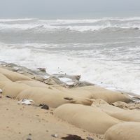 悲惨な砂浜