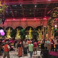 ディズニーではないけどそれっぽい