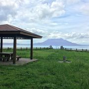 桜島が望める公園です