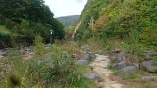 景色を愛でながらの河畔散策はとても気持ち良いです