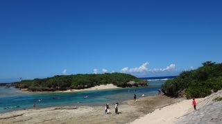 離島帰りには濁りが気になるものの気軽にたくさんの魚が見られる