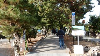 三保神社から三保松原までの５００mの木道