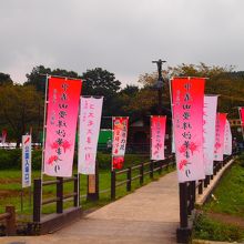 入場料３００円