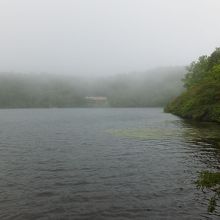 さらに寒々しく。