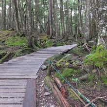このような遊歩道