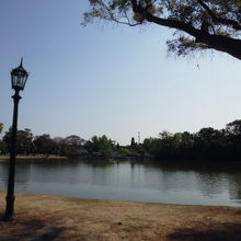 公園内
