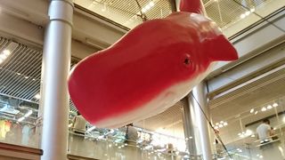 若者が好きそうな