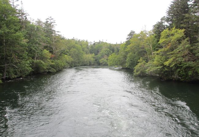 遊覧船から見ました