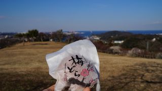 ふじみや菓子店 田浦店