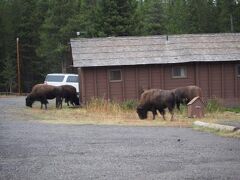 レイク ロッジ キャビンズ - インサイド ザ パーク 写真