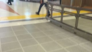 海外旅行の本が豊富