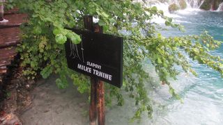 高さはほとんどなく幅が広いという特徴のある滝です