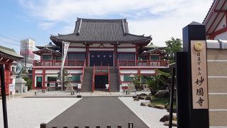 天然記念物の大蘇鉄