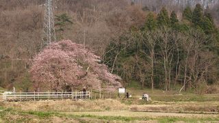 大河ドラマのオープニング