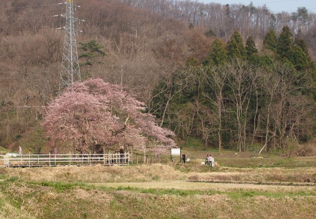 大河ドラマのオープニング