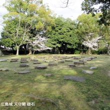 子供たちが飛び跳ねて遊んでいました