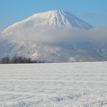 羊蹄山