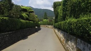 雰囲気が良いです。