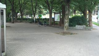 ドッグランもあります