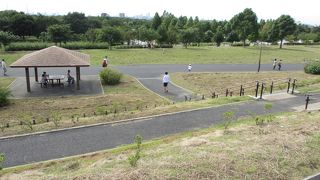 課外活動でにぎやかでした