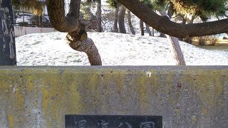 特に何もない・・・