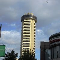 名の通りランドマークなので、目立ちます