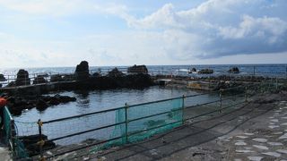 北の海の昆布をまじか見れた！