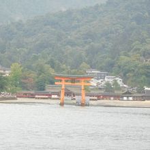 フェリーから見える厳島神社